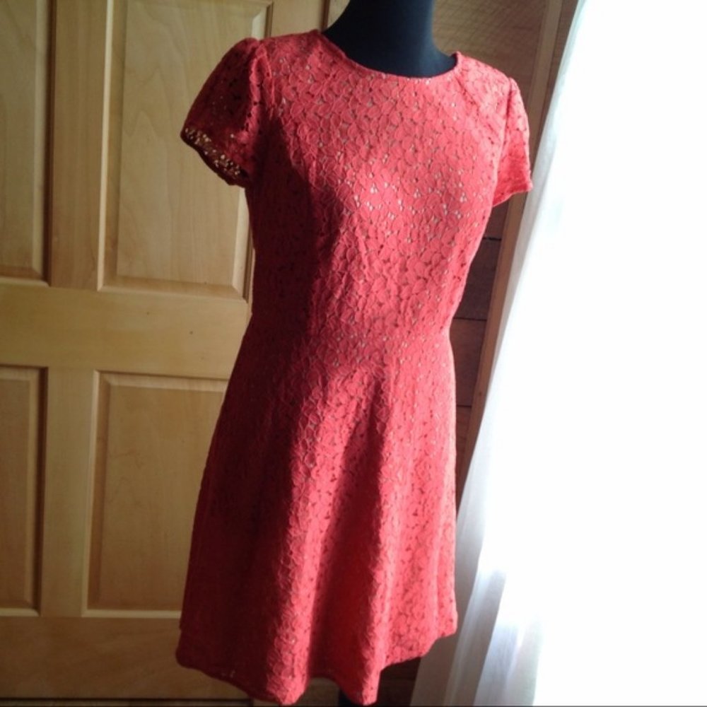 Loft short sleeve coral / red lace dress